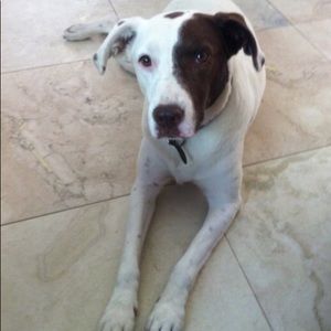 Meet your Posher, Stephen